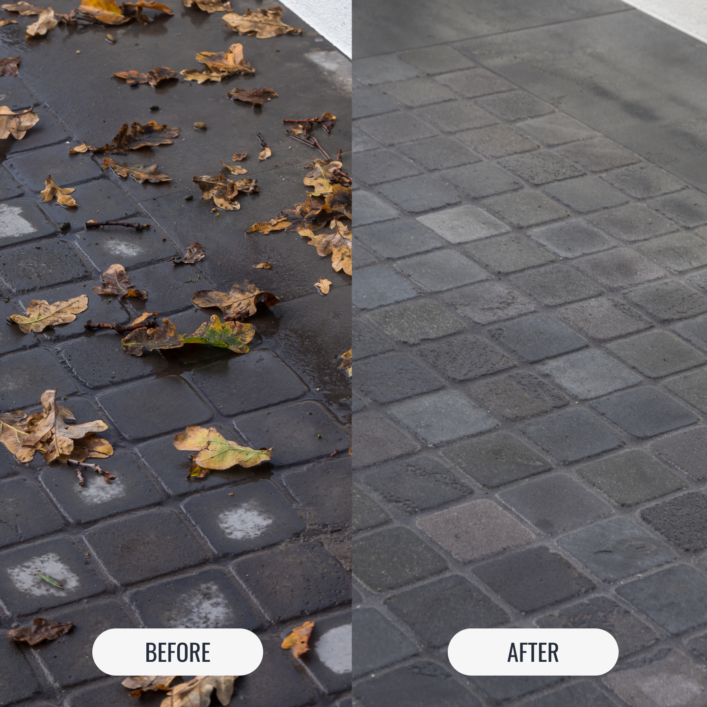 CLASSIC SEALER 'THE ALL ROUNDER'