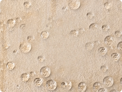 Image_Container_1_1_b0c7cecf-89ad-4411-9db1-bf888840f1e1